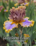 Western Edge
